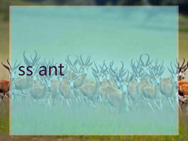 ss ant ss ant