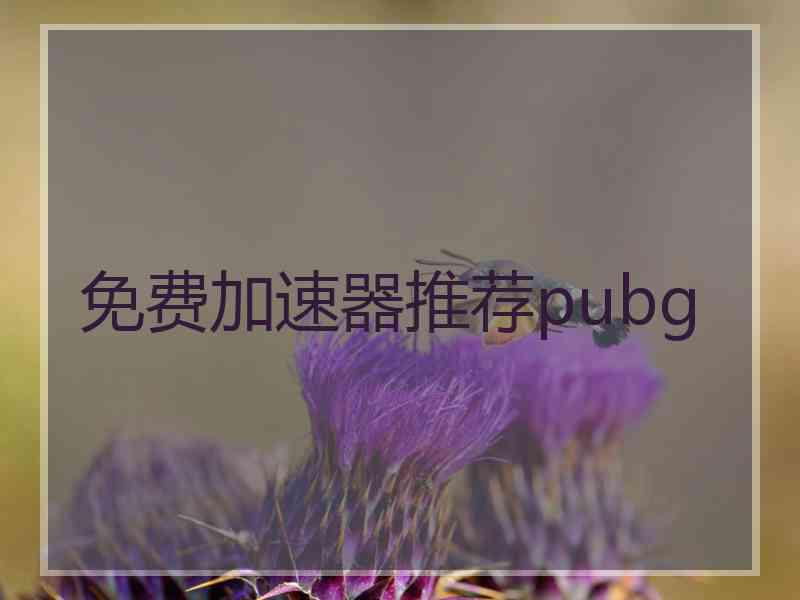 免费加速器推荐pubg 免费加速器推荐pubg