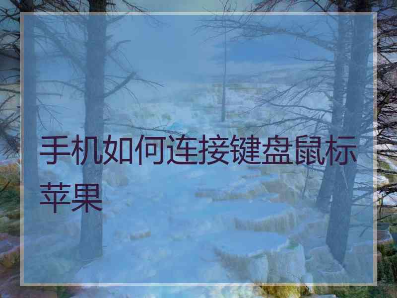 手机如何连接键盘鼠标苹果 手机如何连接键盘鼠标苹果