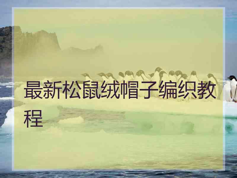 最新松鼠绒帽子编织教程 最新松鼠绒帽子编织教程