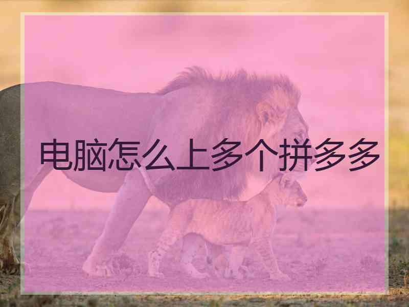 电脑怎么上多个拼多多 电脑怎么上多个拼多多