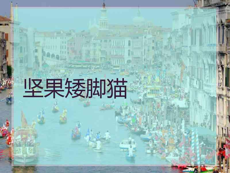 坚果矮脚猫 坚果矮脚猫
