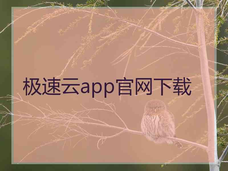 极速云app官网下载 极速云app官网下载