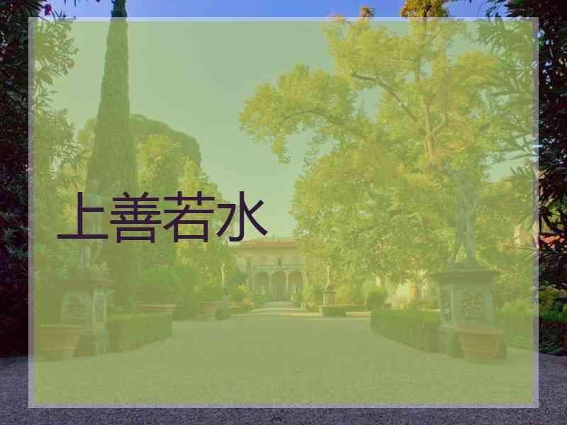 上善若水 上善若水