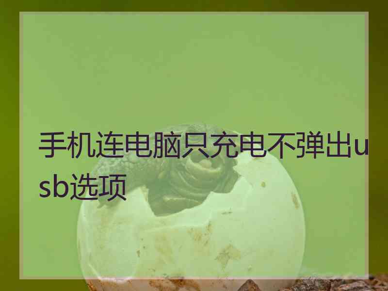 手机连电脑只充电不弹出usb选项 手机连电脑只充电不弹出usb选项