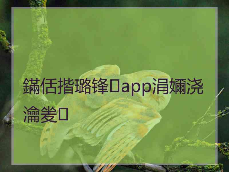 鏋佸揩璐锋app涓嬭浇瀹夎 鏋佸揩璐锋app涓嬭浇瀹夎