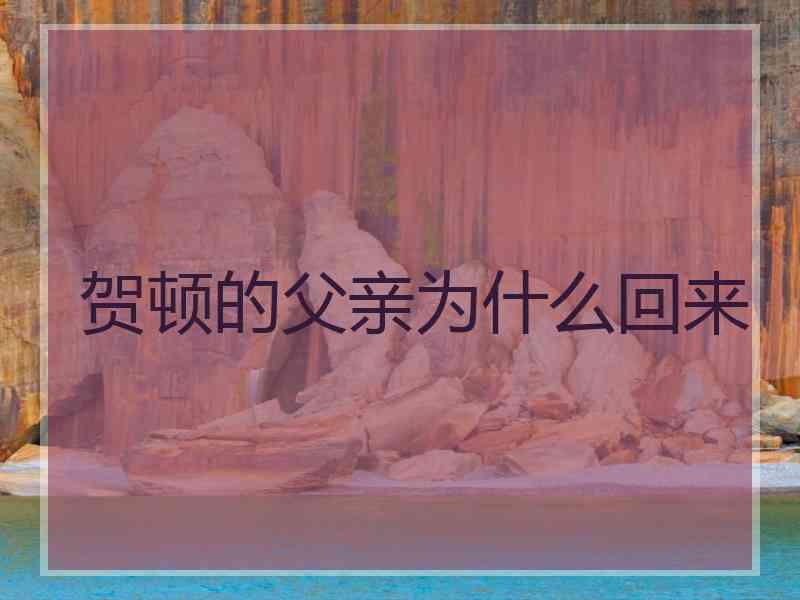 贺顿的父亲为什么回来 贺顿的父亲为什么回来