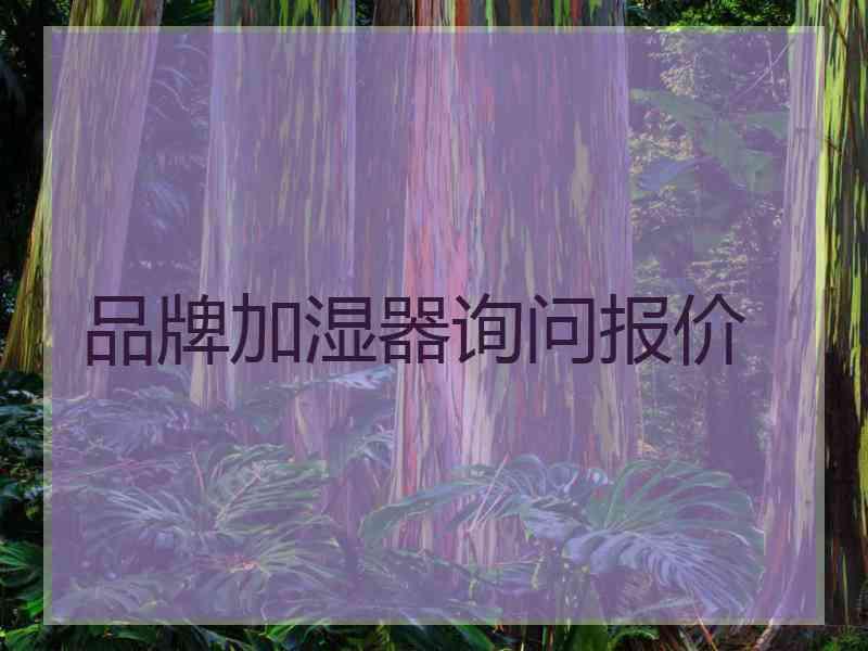 品牌加湿器询问报价 品牌加湿器询问报价