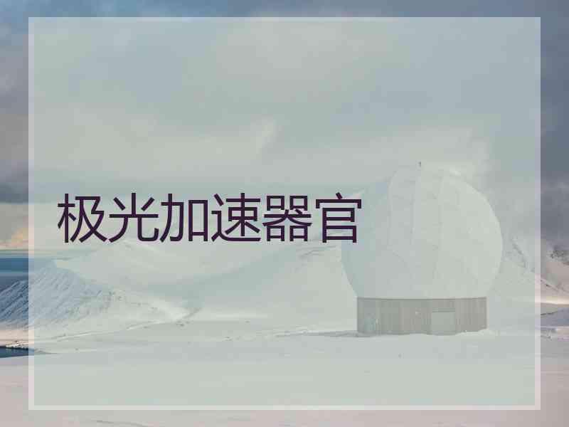 极光加速器官 极光加速器官