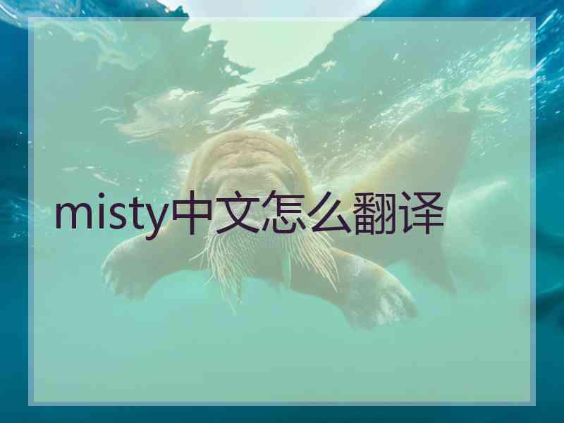 misty中文怎么翻译 misty中文怎么翻译