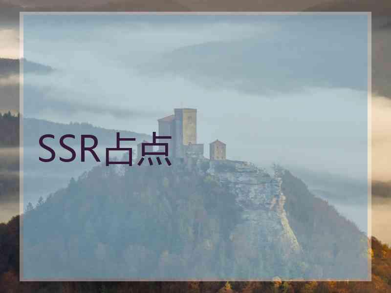 SSR占点 SSR占点