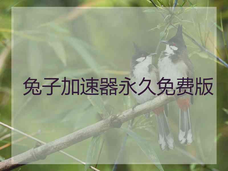 兔子加速器永久免费版 兔子加速器永久免费版