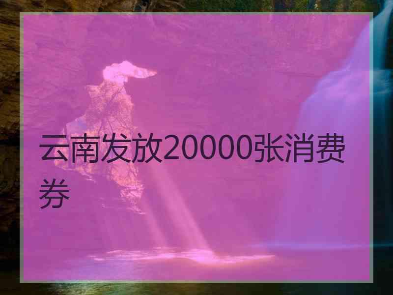 云南发放20000张消费券 云南发放20000张消费券