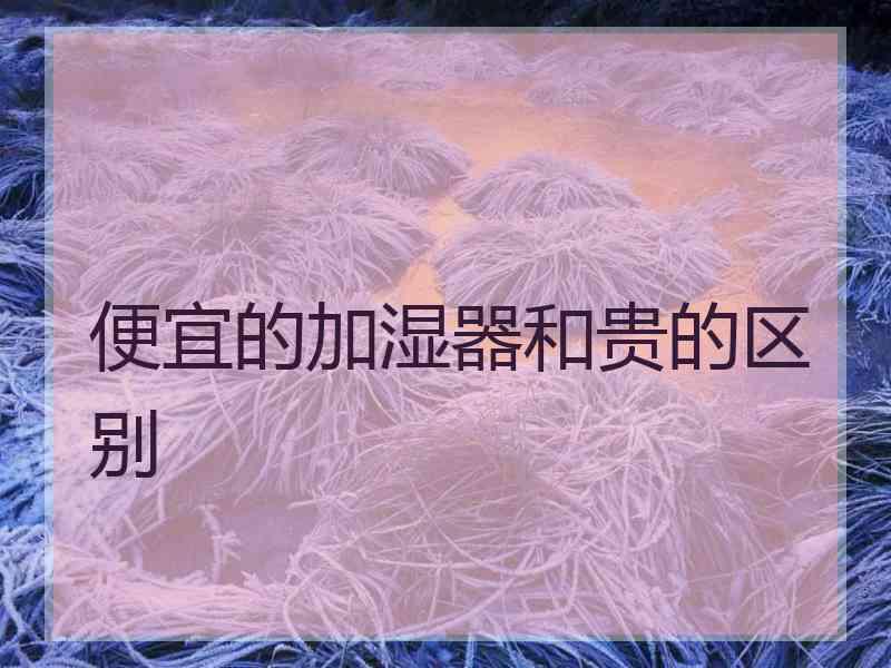 便宜的加湿器和贵的区别 便宜的加湿器和贵的区别