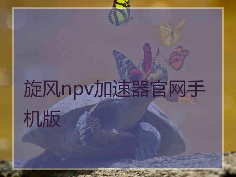 旋风npv加速器官网手机版 旋风npv加速器官网手机版