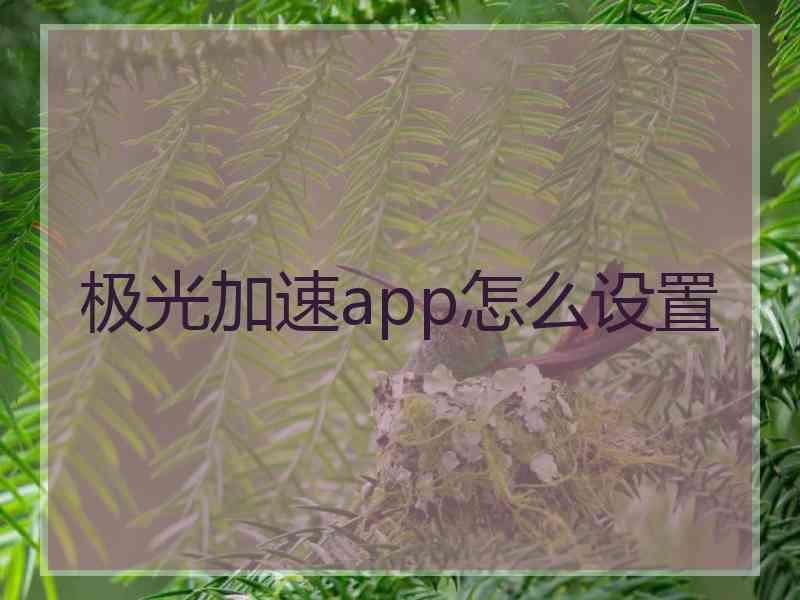 极光加速app怎么设置 极光加速app怎么设置