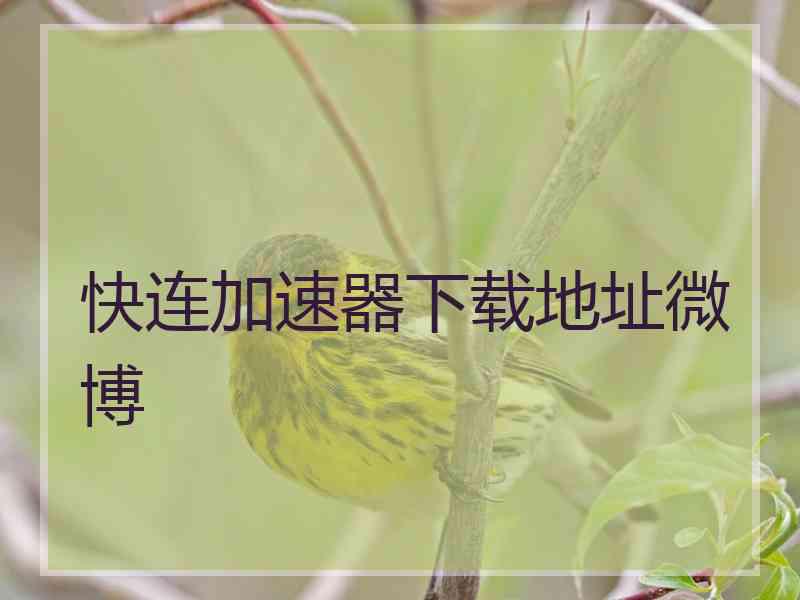 快连加速器下载地址微博 快连加速器下载地址微博