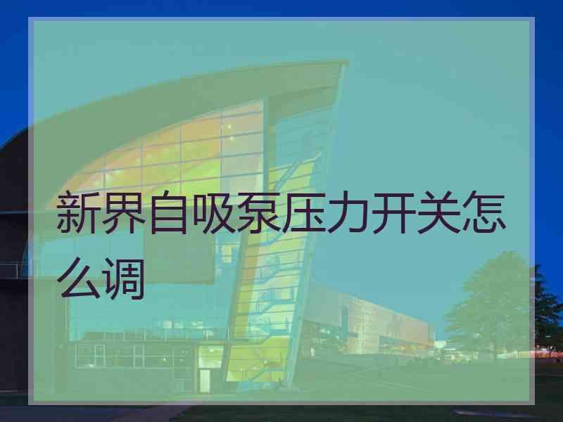 新界自吸泵压力开关怎么调 新界自吸泵压力开关怎么调