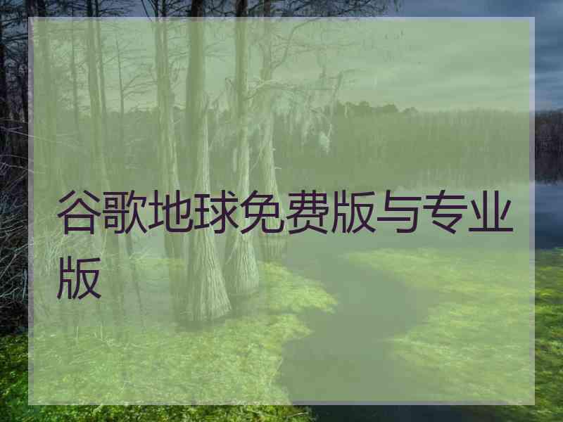谷歌地球免费版与专业版 谷歌地球免费版与专业版