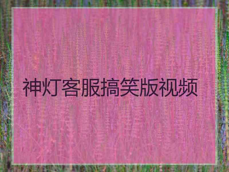 神灯客服搞笑版视频 神灯客服搞笑版视频