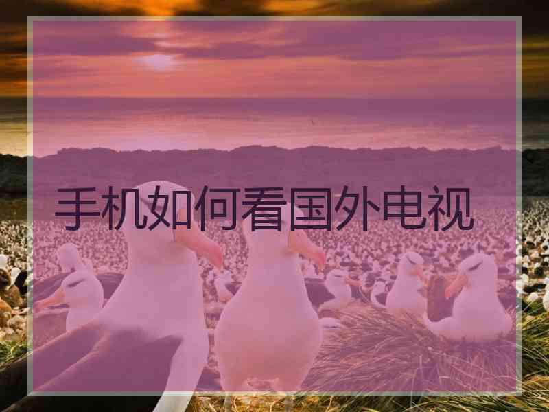 手机如何看国外电视 手机如何看国外电视