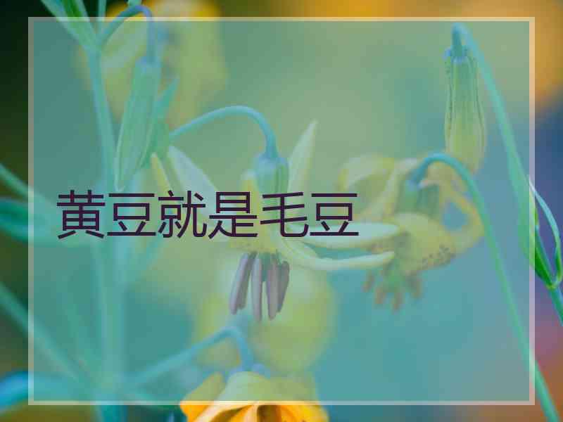 黄豆就是毛豆 黄豆就是毛豆
