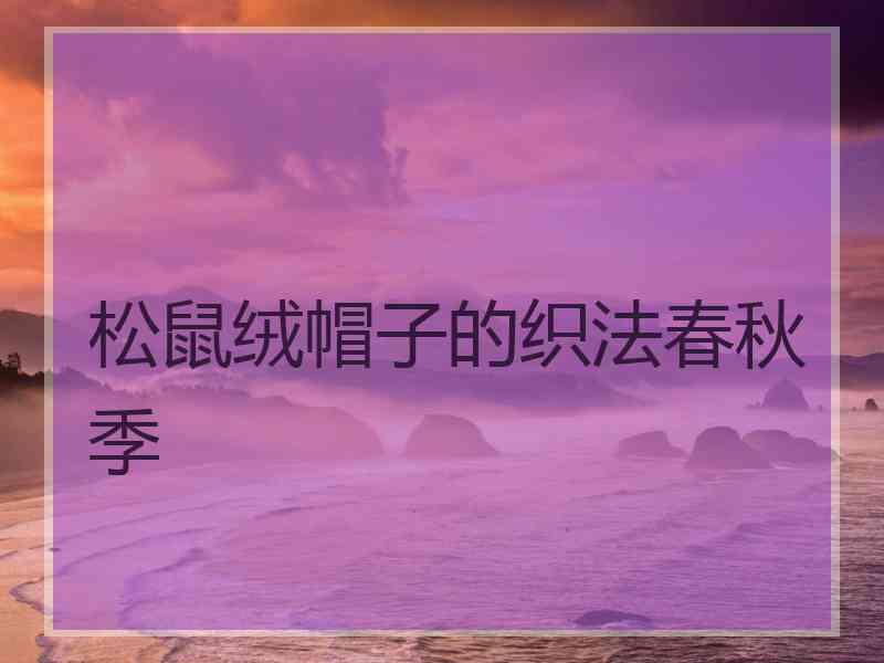 松鼠绒帽子的织法春秋季 松鼠绒帽子的织法春秋季