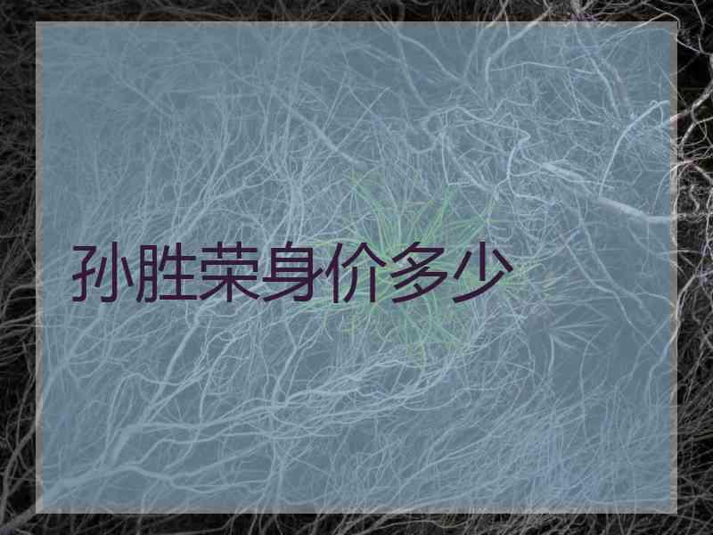 孙胜荣身价多少 孙胜荣身价多少