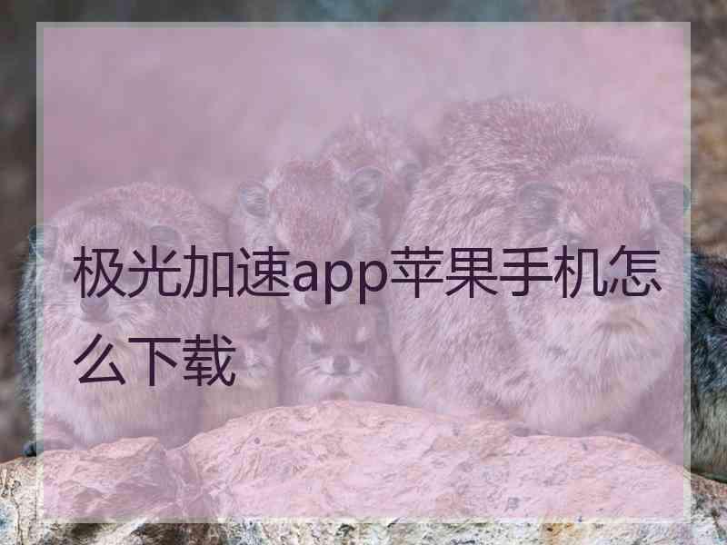 极光加速app苹果手机怎么下载 极光加速app苹果手机怎么下载