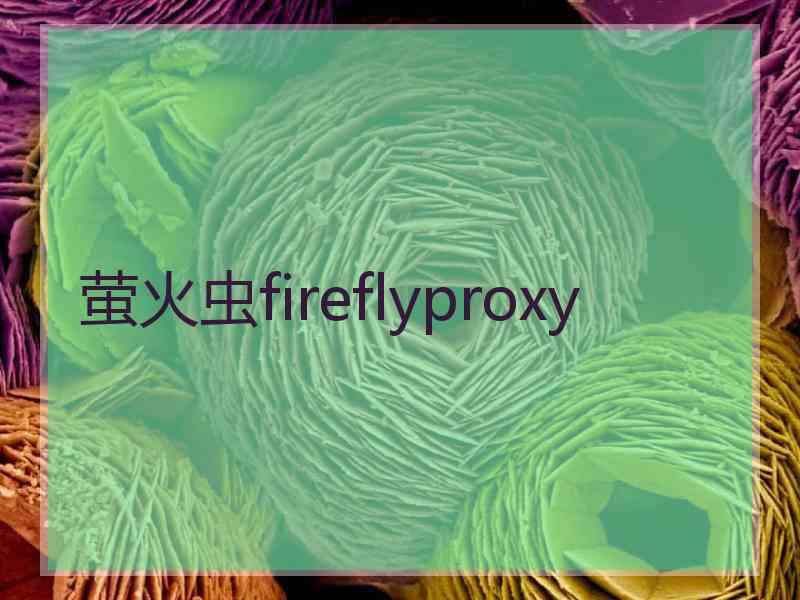 萤火虫fireflyproxy 萤火虫fireflyproxy