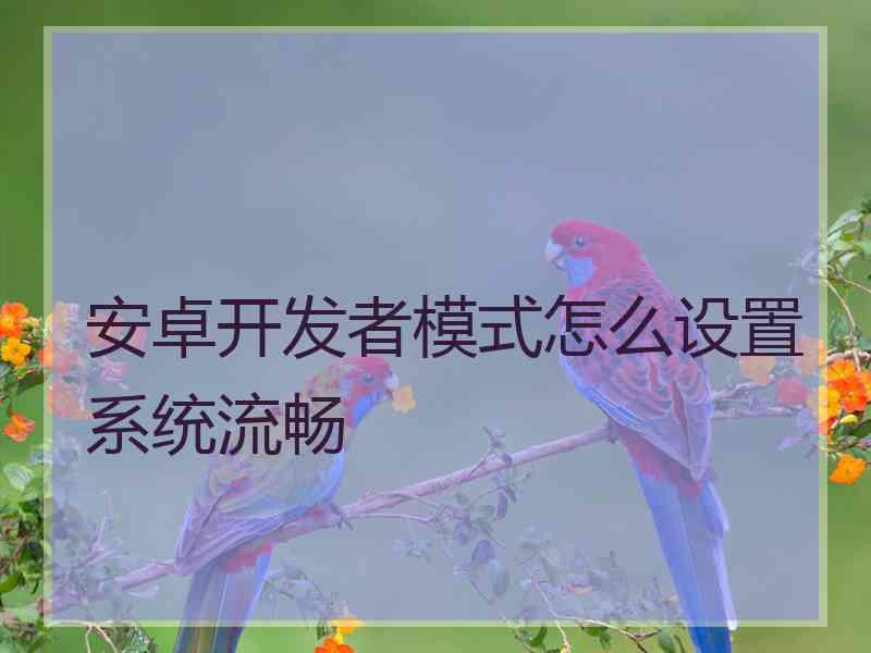 安卓开发者模式怎么设置系统流畅 安卓开发者模式怎么设置系统流畅