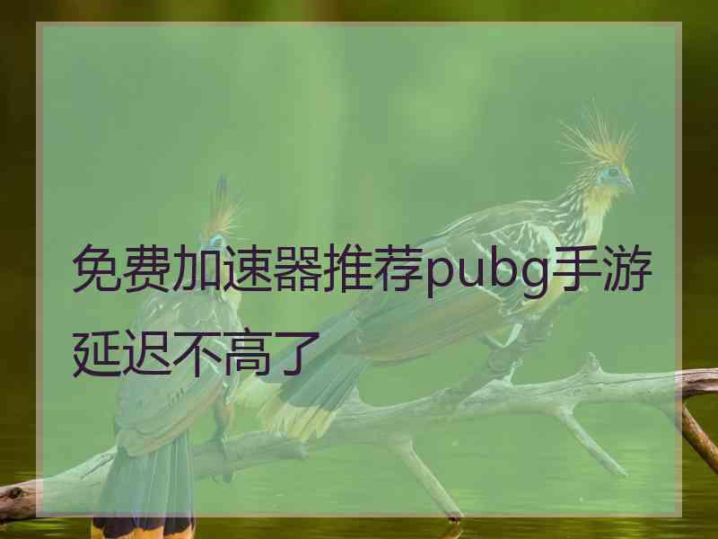 免费加速器推荐pubg手游延迟不高了 免费加速器推荐pubg手游延迟不高了