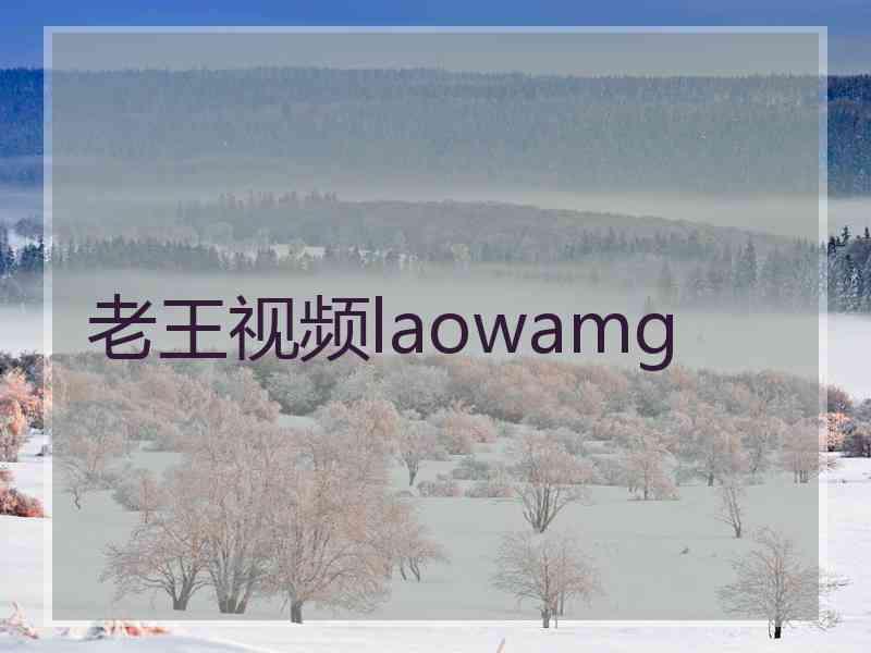 老王视频laowamg 老王视频laowamg