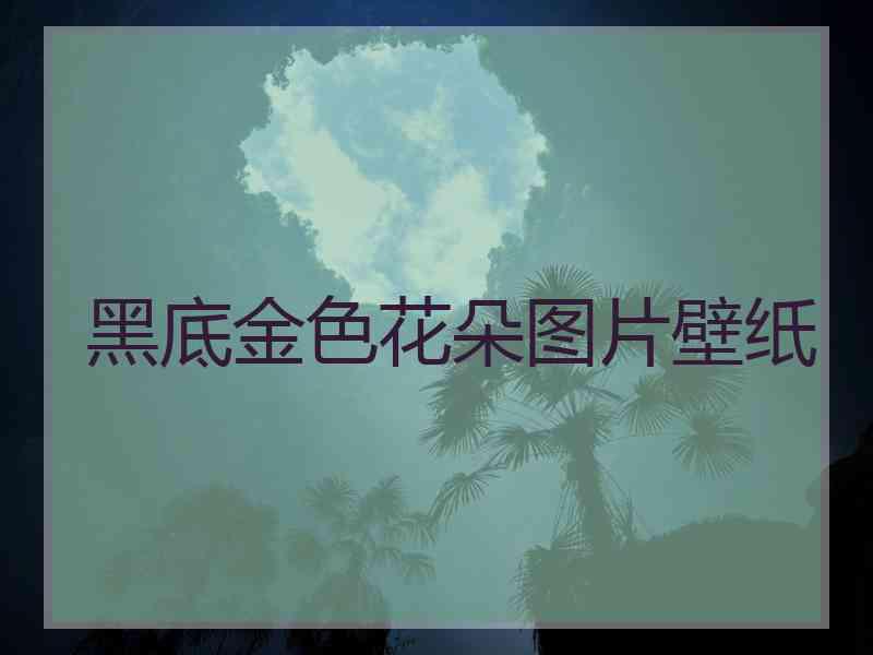 黑底金色花朵图片壁纸 黑底金色花朵图片壁纸