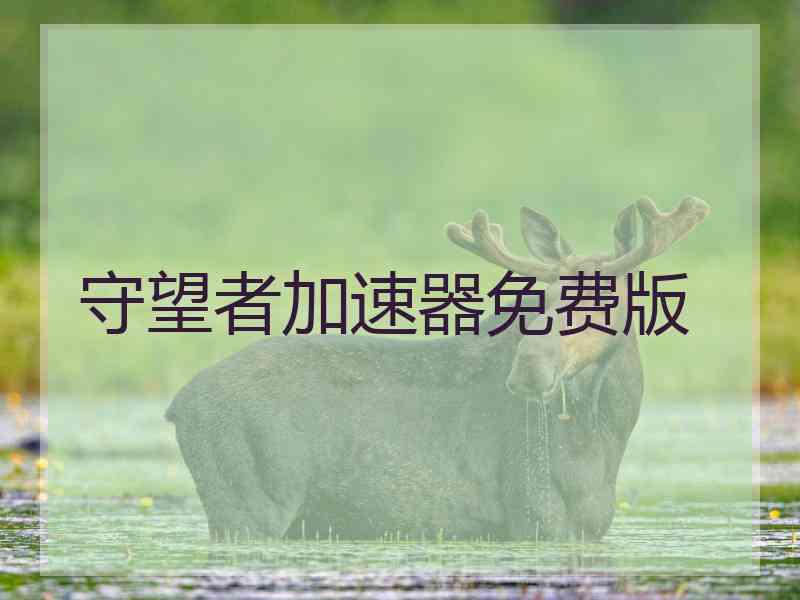 守望者加速器免费版 守望者加速器免费版