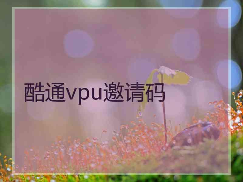 酷通vpu邀请码 酷通vpu邀请码