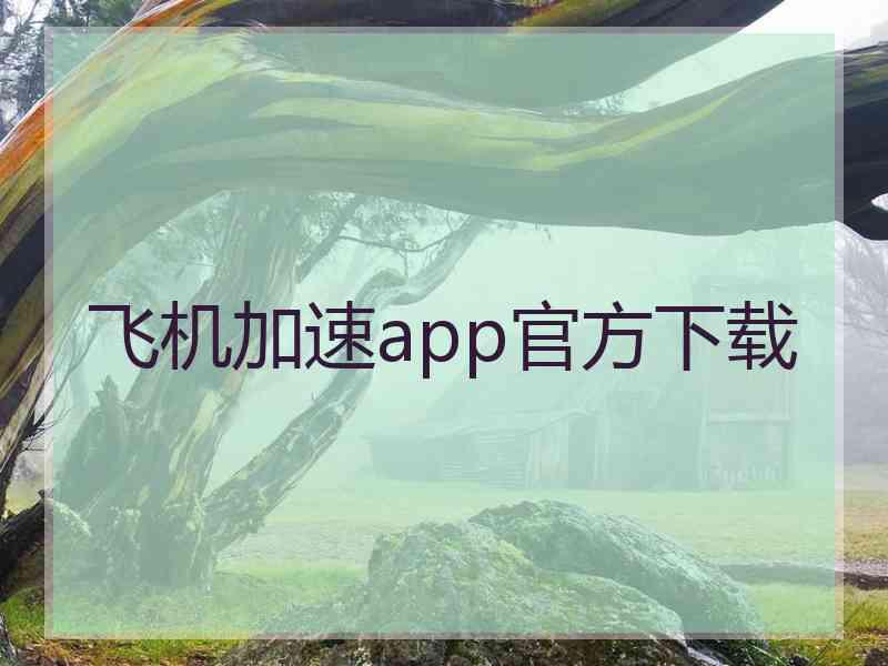 飞机加速app官方下载 飞机加速app官方下载