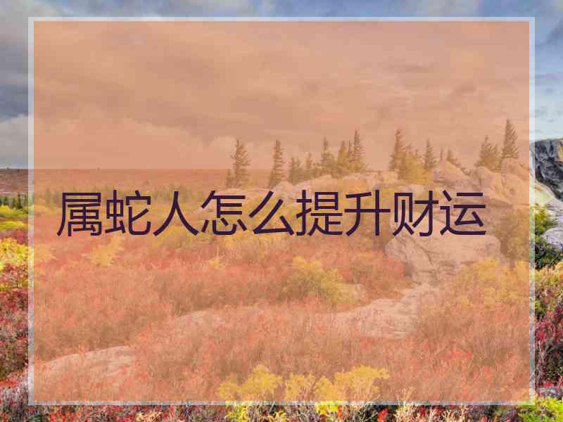 属蛇人怎么提升财运 属蛇人怎么提升财运