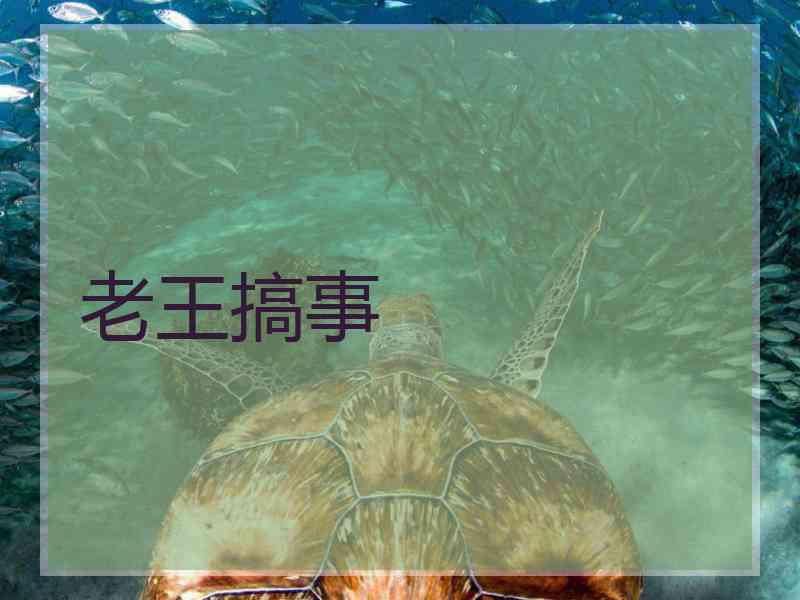 老王搞事 老王搞事