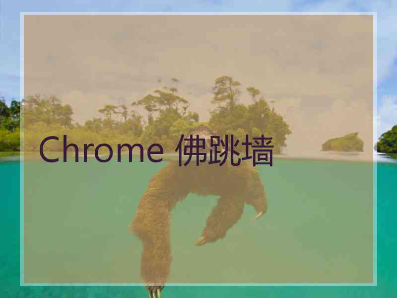 Chrome 佛跳墙 Chrome 佛跳墙