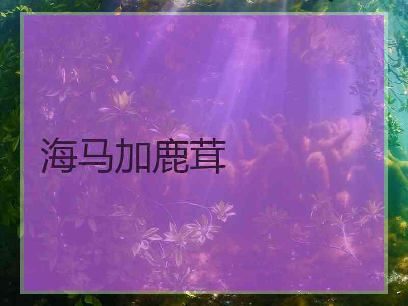 海马加鹿茸 海马加鹿茸