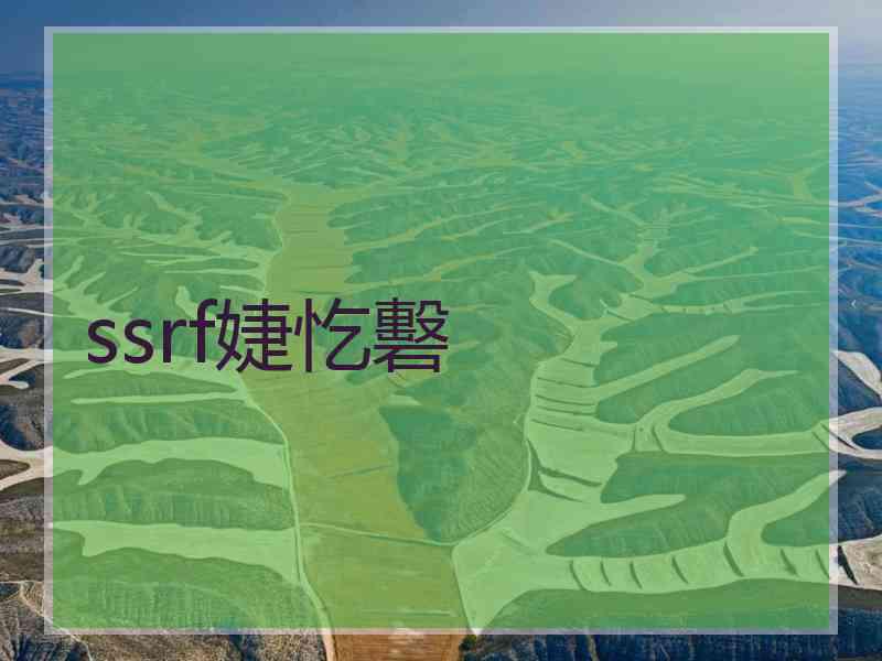 ssrf婕忔礊 ssrf婕忔礊