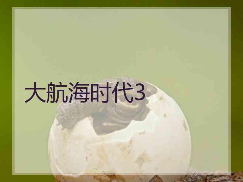 大航海时代3 大航海时代3