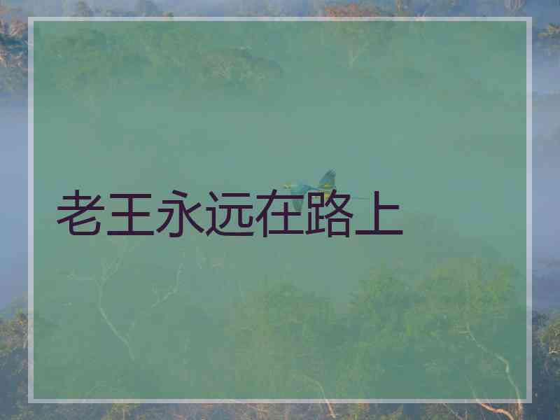 老王永远在路上 老王永远在路上