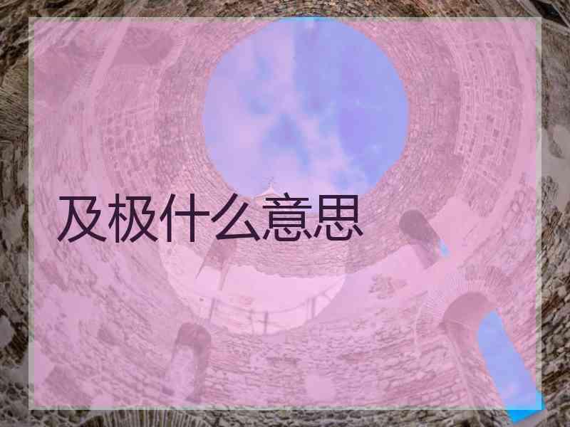 及极什么意思 及极什么意思