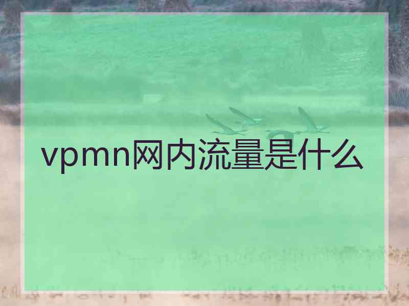 vpmn网内流量是什么 vpmn网内流量是什么