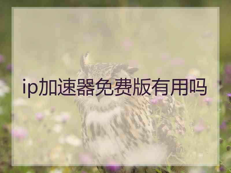 ip加速器免费版有用吗 ip加速器免费版有用吗