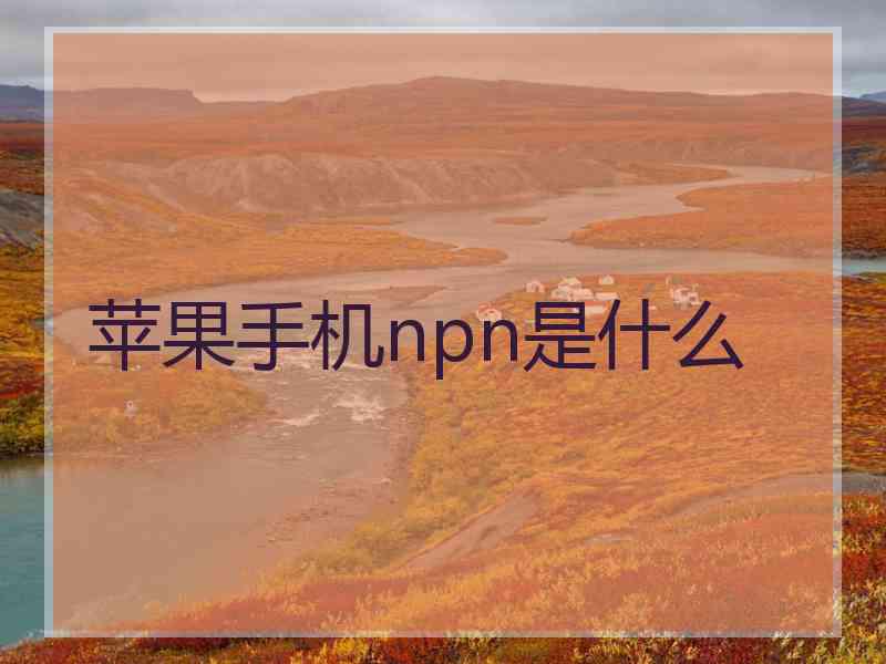 苹果手机npn是什么 苹果手机npn是什么