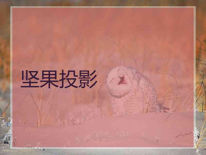 坚果投影 坚果投影