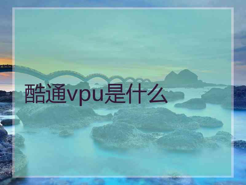 酷通vpu是什么 酷通vpu是什么